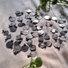 Small BlackPolish - 144