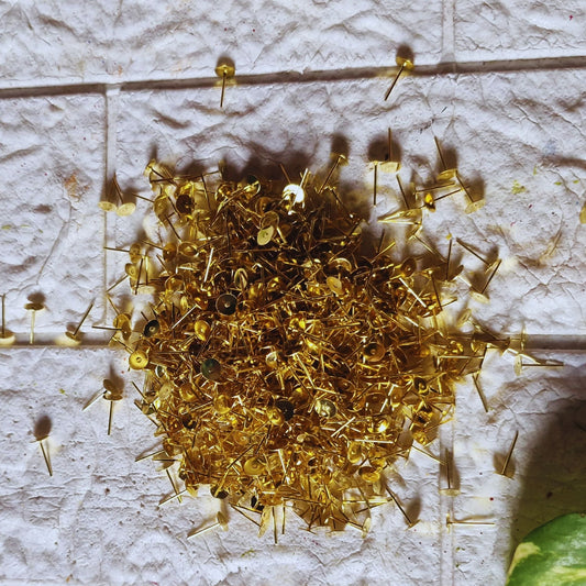 Golden Stud Pin